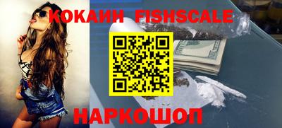 дмт Кингисепп