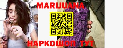дмт Кингисепп