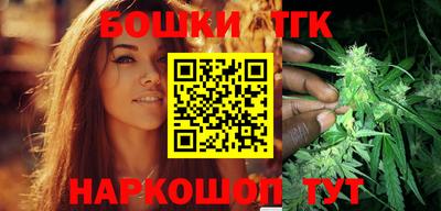 дмт Кингисепп
