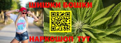 дмт Кингисепп
